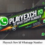 Playexch New Id Whatsapp Number