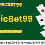 Cricbet99
